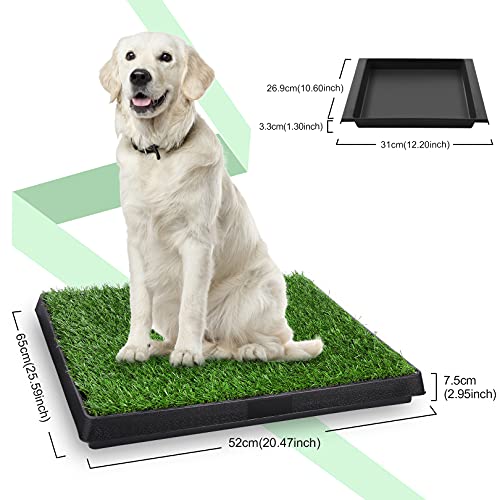 Sailnovo Inodoro para perros con 2 piezas de césped artificial, 63 x 50 cm, inodoro para mascotas, alfombrilla de entrenamiento para mascotas para mascotas pequeñas, perros mayores y animales