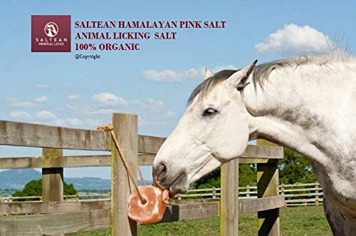 SALTEAN Sal rosa natural de caballos, sal de forma natural con fuerte cuerda para colgar, apto para todos los animales, 1 kg