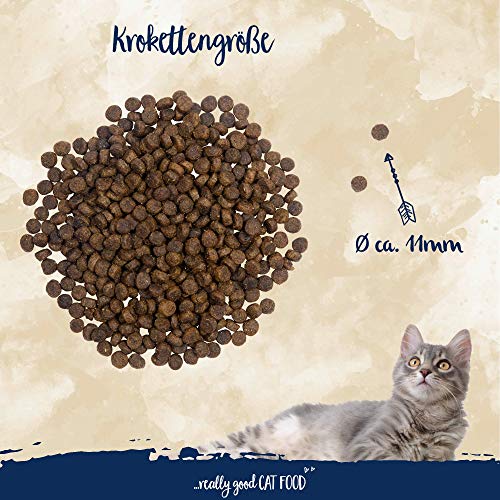 Sanabelle Sensitive con aves de corral | Alimento seco para gatos nutricionalmente sensibles | 1 x 10 kg