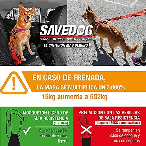 SAVEDOG Cinturón Seguridad para Perros. El cinturón Correa más Seguro del Mercado para el Coche, resiste 1.000kg. Cumple con la ISO 27955:2010.Ref.027172050102