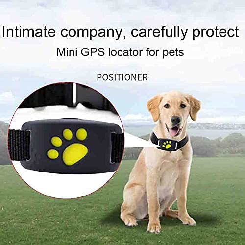 Savlot Rastreador GPS para Gatos Perros Collares Rastreador de Perros Impermeable USB Recargable Localizador de rastreo de Perros Ubicación y monitoreo de Actividades Negro/Azul/Rosa/Verde