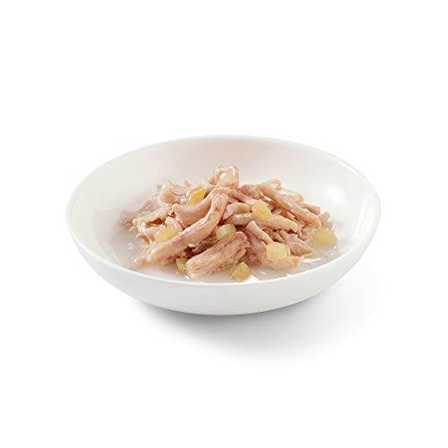 Schesir, Comida húmeda para Gatos Adultos, Sabor filetes de Pollo con Manzana en gelatina Blanda con Verdaderos trozos de Fruta - Total 1,8 kg (24 latas x 75 gr)