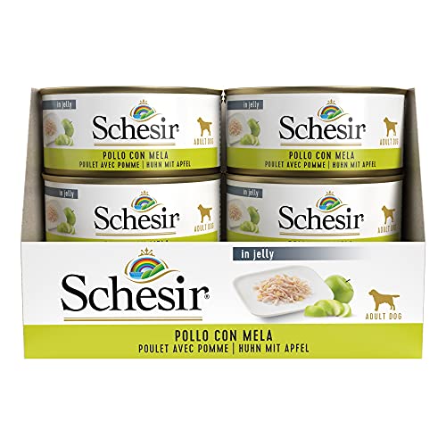 Schesir, Comida húmeda para Perros Adultos, Sabor Pollo con Manzana Preparado con filetes en gelatina con Verdaderos trozos de Fruta - Total 2,7 kg (18 latas x 150 gr)