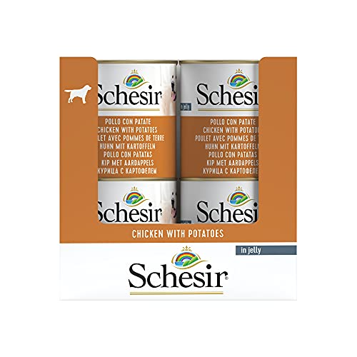 Schesir, Comida húmeda para Perros Adultos, Sabor Pollo con Patatas, filetes en gelatina Blanda - Total 4,56 kg (16 latas x 285 gr)