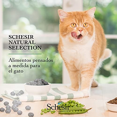 Schesir, Pienso Completo Y Equilibrado para Gatos Adultos, Línea Natural Selection con Alto Contenido En Atún, Croquetas - Formato Bolsa De 4,5 Kg