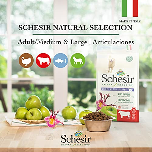 Schesir, Pienso Completo Y Equilibrado para Perros Adultos De Tamaño Mediano, Línea Natural Selection con Alto Contenido En Atún, Croquetas - Formato Bolsa De 9,6 Kg