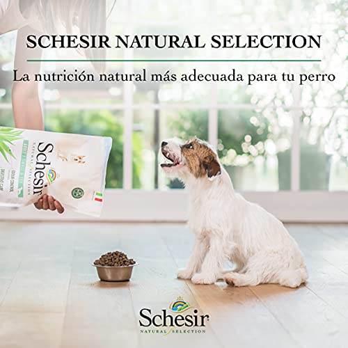 Schesir, Pienso Completo Y Equilibrado para Perros Adultos De Tamaño Mediano, Línea Natural Selection con Alto Contenido En Atún, Croquetas - Formato Bolsa De 9,6 Kg