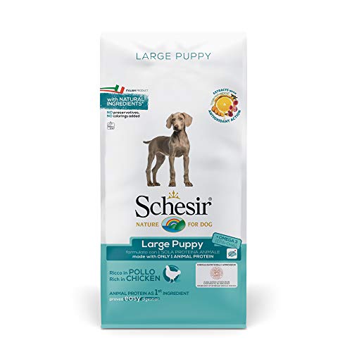 Schesir, pienso para Cachorros de tamaño Grande, Sabor Pollo, croquetas - Formato Bolsa de 12 kg