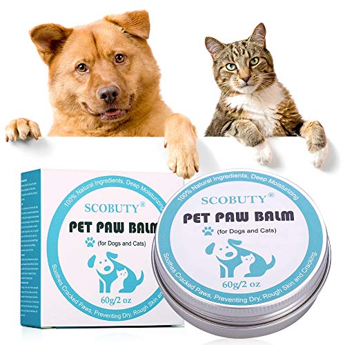 SCOBUTY Bálsamo Mascotas, Bálsamo Perros, Dog Paw Nose Balm, Bálsamo para la Nariz y para Las Patas agrietadas y Que pican de Perros, Protege y Repara Piel Seca y Agrietada, 60g