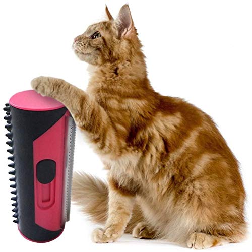 sdgfd Cepillo de depilación para Perros, Gatos, Cepillo para Perros y Cepillo para Gatos | Efecto de Masaje y protección capilar Superior | Use un Cepillo de Pelo para Eliminar el Pelo de Perros