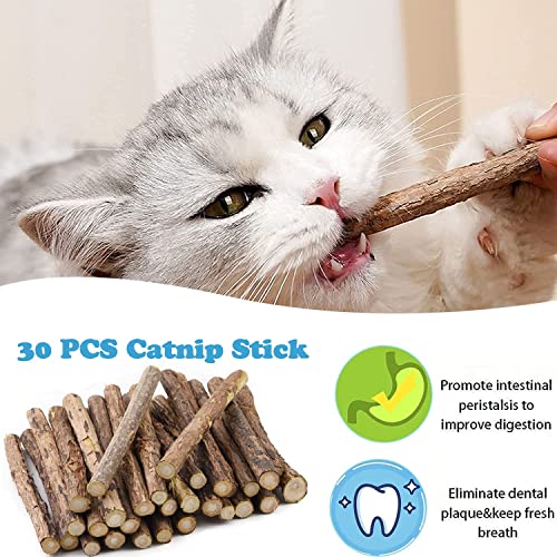 SeaMorn Juguetes para Gatos, Hierba Gatera Juguete,Juguete Felpa Catnip,Juguetes del Catnip,Palitos de Catnip, Protección del Cuidado Dental, Adecuado Juguete para Gatos de Interior