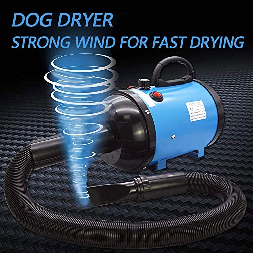 Secador de pelo de perro 2800W/3.8HP, velocidad ajustable sin escalones, soplador de pelo de mascotas, soplador de fuerza de pelo de mascotas con sistema calefactado, manguera de resorte, azul