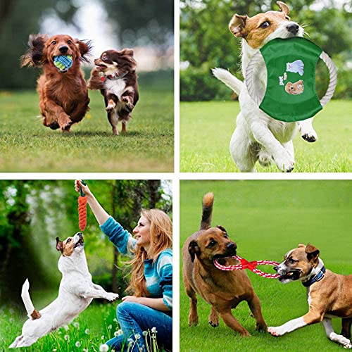 Semoss Set 10 Juguetes para Perros Cachorros,Juguetes Morder Interactivos para Pequeños y Medianos Perros con Caja de Regalo