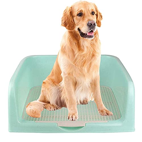 SFSGH Orinal de plástico para Perros, Caja de Arena para Animales pequeños, Conejos, Conejillos de Indias y Hurones - Bandeja de Entrenamiento para orinales de Inodoro para Cachorros de