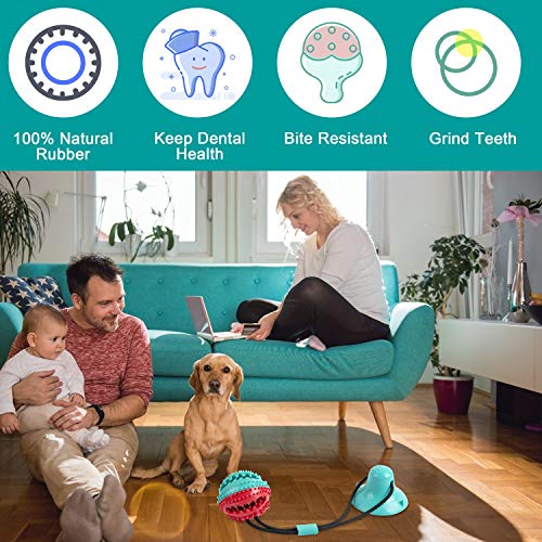 Shinmax Juguetes para Perro con campana,Multifunction Pet Molar Bite Toy,Dispensador de Golosinas para Perros con ventosas,Función de Cuidado Dental para Perros,Adecuado para perros pequeños y grandes