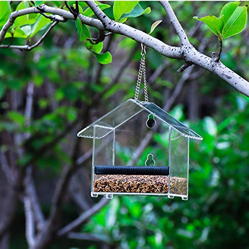 SHOVEL Techo en Forma de Ventana acrílica Transparente con 2 potentes ventosas adicionales y Bandeja de Semillas para Decorar su casa con Hermosas Aves Silvestres