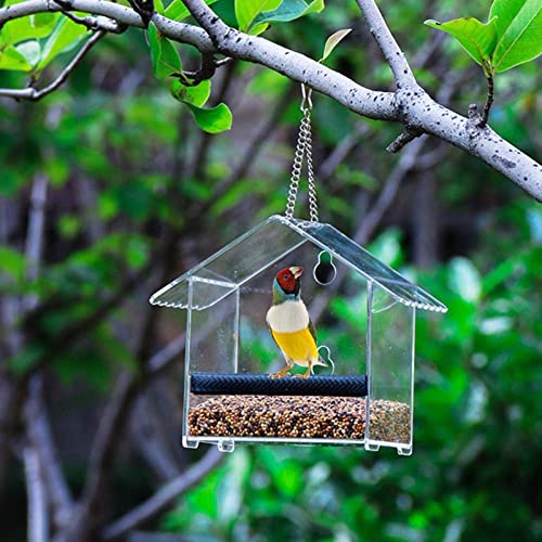 SHOVEL Techo en Forma de Ventana acrílica Transparente con 2 potentes ventosas adicionales y Bandeja de Semillas para Decorar su casa con Hermosas Aves Silvestres