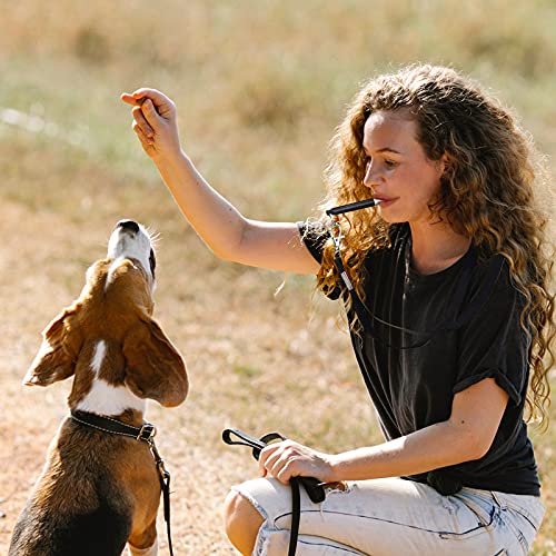 Silbato de Formación Ultrasónico, Silbato para Perros con Cordón, Silbatos Profesional para Perros, 3 Piezas Frecuencias Ajustables Silbato de Entrenamiento de Perros con Acollador(Negro, Rosa, Azul)