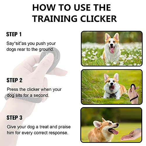 Silbato y clicker para entrenamiento de perros, silbato para perros con cordón, clicker para perros, kit de entrenamiento para mascotas, ideal para el entrenamiento de cachorros de mascotas (Schwarz)