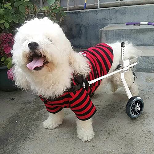 Silla De Ruedas Para Perros Patas Traseras,Silla De Ruedas Para Perros Talla M,Se Utiliza Para Perros Con Discapacidades En Las Patas Traseras,ArmazóN De Apoyo Auxiliar Para Caminar De RehabilitacióN