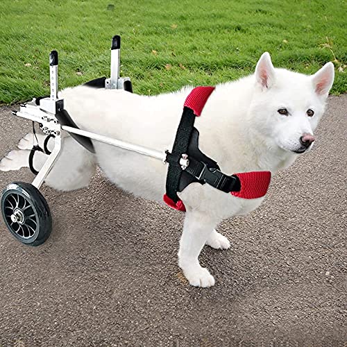 Silla De Ruedas Para Perros Patas Traseras,Silla De Ruedas Para Perros Talla M,Se Utiliza Para Perros Con Discapacidades En Las Patas Traseras,ArmazóN De Apoyo Auxiliar Para Caminar De RehabilitacióN