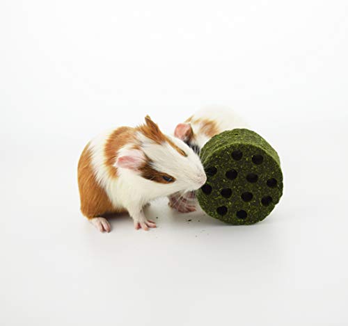 SKXZK Juguete de Conejo, Juguetes para Masticar Mascotas, Natural Timothy Pasteles de Hierba Cuidado Molar Juguete para Hamster Conejillo de Indias Chinchilla Conejos (L : (2,5 x 1,3 Pulgadas))