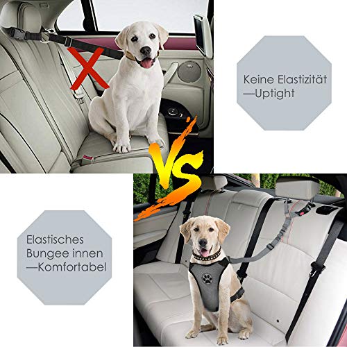 SlowTon Cinturón de Seguridad para Perros, Paquete de 2 Cinturón de Seguridad para el Asiento del cajero con Banda elástica y Reflectante Se Conecta con el vehículo con Brazo (Gris2)