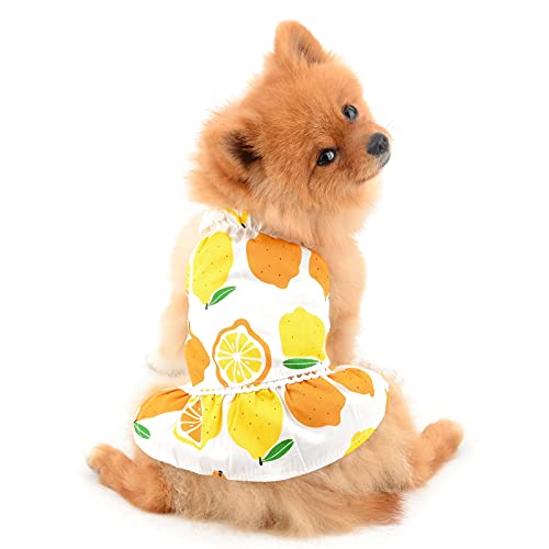 SMALLLEE_LUCKY_STORE Vestido de mascota para perro pequeño y gato, niña, perrito, ropa de verano, falda de cachorro de limón, traje de vacaciones, ropa de fiesta de playa