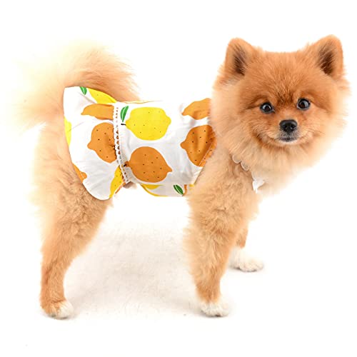 SMALLLEE_LUCKY_STORE Vestido de mascota para perro pequeño y gato, niña, perrito, ropa de verano, falda de cachorro de limón, traje de vacaciones, ropa de fiesta de playa