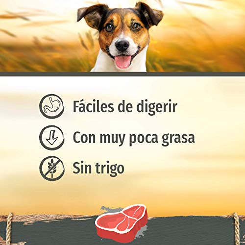 SmartBones Sabor a ternera Huesos masticables Mediano para perros, 2 piezas