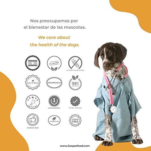 Snack Deshidratado para Perros - 2 Bolsas de 500 gr - Nugget de Pollo para Perros - 100% Carne de Pollo - Sabor Único - Encías Saludables - 100% Orgánico - Fabricado en España - GESPETFOOD