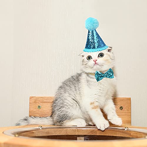 Sombrero de cumpleaños de Perro para Mascotas, Fiestas, Gatos, Gorros, Accesorios de Aseo, Diadema Ajustable, Pompones, Color Azul (Azul)