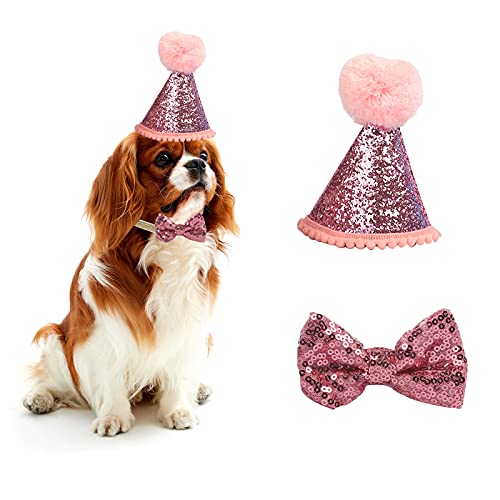 Sombrero de cumpleaños de Perro para Mascotas, Fiestas, Gatos, Gorros, Accesorios de Aseo, Diadema Ajustable, Pompones, Color Azul (Rosa)