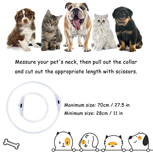 SONNIG 4 Colores en 1 Collar Luminoso Perro, Collar LED Perro Tiene Color Degradado, Rojo, Verde y Azul 4 Modos de Luz, Recargable y Ajustable, Seguro para Perros de Todos los Tamaños por la Noche