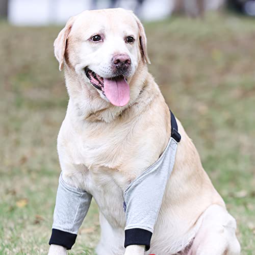 Soporte carpiano canino, codo apto para perro, soporte de carpiano canino, ceodo, protector de codo apto para perro, transpirable, soporte de pierna delantera, apto para perro, codo de perro, pierna