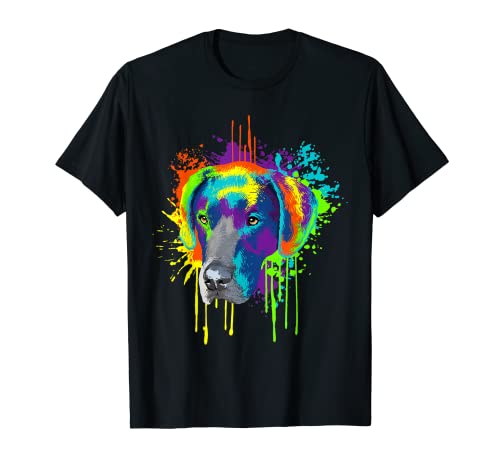 Splash Art Gran Danés Dueño De Un Perro Regalo Perros Camiseta