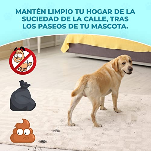 Spray limpiador de patas para perros y gatos - Limpia patas perro - Higienizador patas mascotas (no irritante) - 1 LITRO - Protector de almohadillas + Aloe Vera - Spray antibacteriano para mascotas