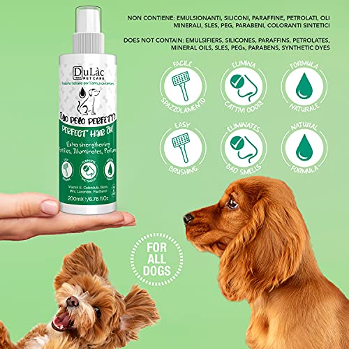 Spray para el Pelo de Perros 3 en 1: Desodorante, Desenredante y Hidratante Natural Made in Italy, Fragancia de Lavanda y Menta, enriquecido con Vitamina E, Caléndula, Pantenol, Biotina - Dulàc