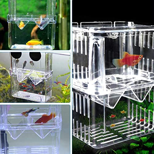 Sraeriot Caja Cría Peces Incubadora Acuarios Fry Hatchery Caja Aislamiento Peces Pescado Piense Contenedor Divisor con Ventosas Copas Doble Capas Acrílico Transparente S, Tanque Peces Y