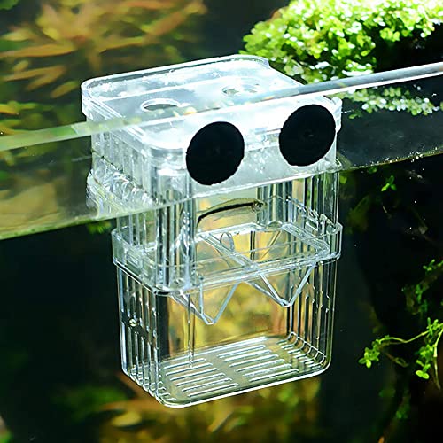 Sraeriot Caja Cría Peces Incubadora Acuarios Fry Hatchery Caja Aislamiento Peces Pescado Piense Contenedor Divisor con Ventosas Copas Doble Capas Acrílico Transparente S, Tanque Peces Y