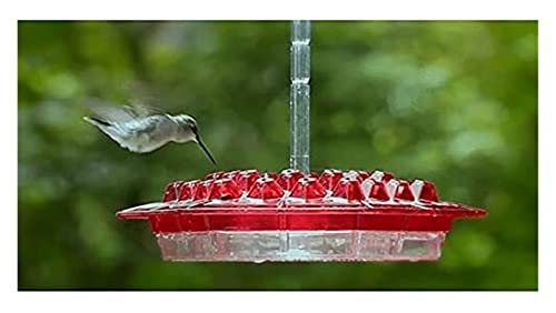 SSYY Comedero para Colibríes con Percha Y Foso Incorporado En Forma De Diamante para Pájaros Pequeños