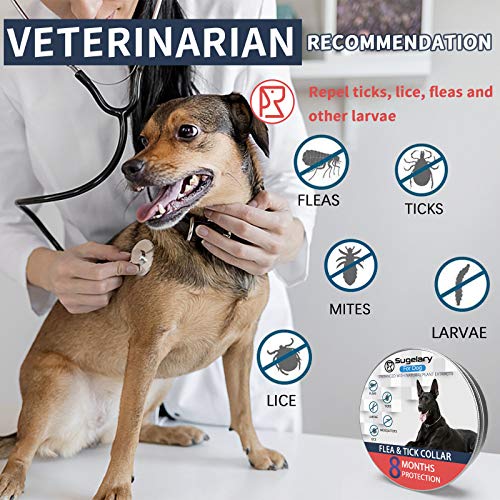 Sugelary Collar Antiparasitario para Mascotas Perros Plagas Repelentes para Mascotas Agregado con Aceites Naturales, Tamaño Ajustable e Impermeable, Detiene Mordeduras y Picazón (2pcs)