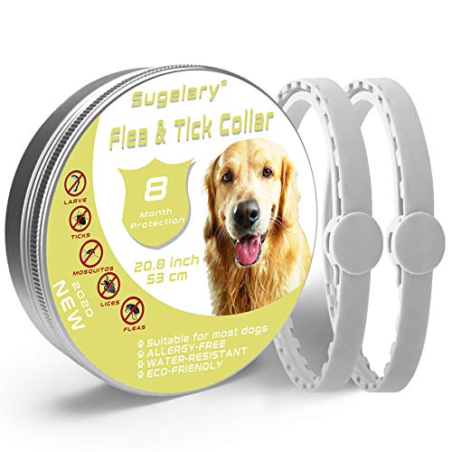 Sugelary Collar Antiparasitario para Perros - 8 Meses Prevención de Pulgas y Garrapatas - Tratamiento de Pulgas y Garrapatas- Estable, Duradero e Impermeable 2Pack