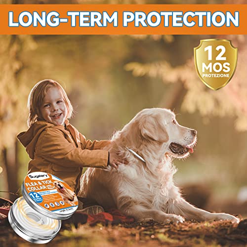 Sugelary Collar Antiparasitario Perros, Collar Antiparasitario para Perro Ajustabl, Protección de 12 Meses Mejorada con Aceites Esenciales Naturales para Perros Pequeños, Medianos y Grandes(2PCS)