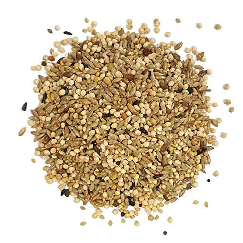 Sunseed Alimento Semillas para Aves exóticas, periquitos, Diamantes, mirlos 2.5kg