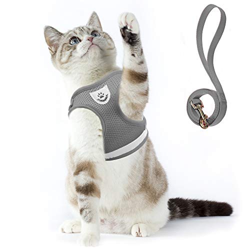 Supet Arnés y Correa para Gato Chaleco Reflectante de Nylon Suave para Perros Pequeños para Correr, Correr, Correas de Entrenamiento, Adecuado para Gatos, Cachorros, Mascotas Pequeñas