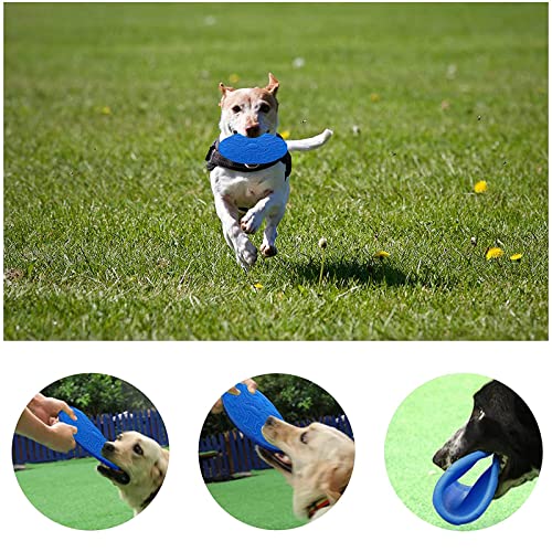 SUpoetry 3 Piezas Frisbee Perro, Perros interactivos Frisbee, Disco Volador para Mascotas, para el Adiestramiento de Perros, 18,5 cm Rojo Verde Azul