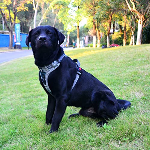 Suredoo Arnés Perro Grande Mediano con Asa Acolchado, Arnés Pecho Antitirones para Perros Ajustable Transpirable Reflectantes Cómodo Chalecos Perro para Adiestramiento y Correr (M, Camo Gris)