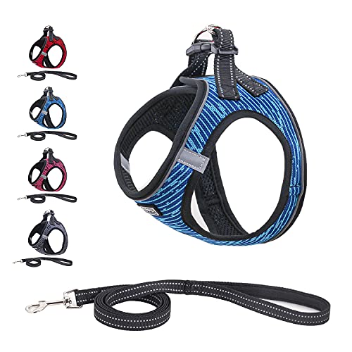 Suredoo Arnés Perro Pequeños Reflectante, Arnés Antitirones Suave Acolchado Cómodo Transpirable Arneses Chaleco para Perros Pequeños, Gatos y Cachorros (XS, Azul)