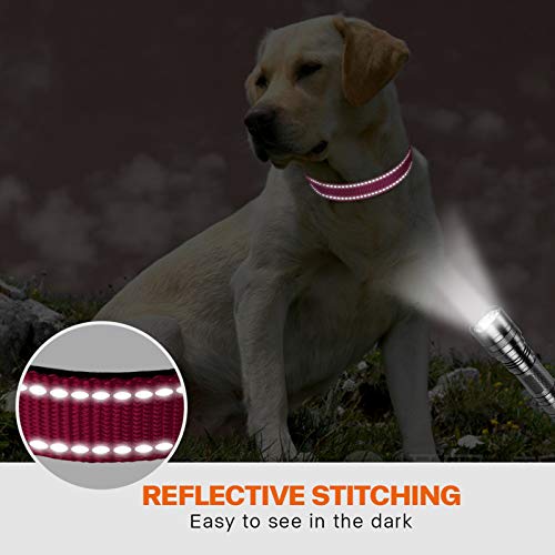 Taglory Collar Perro, Collar Nylon Reflectante Neopreno Forrado Ajustable para Perros Medianos, Fucsia